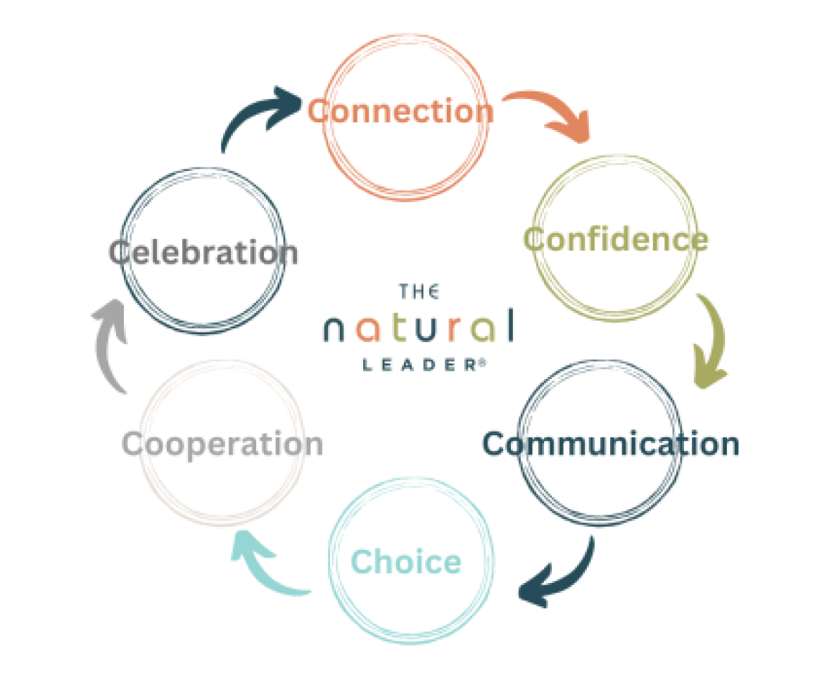 Connection Confidence Communication Choice Cooperation Celebration